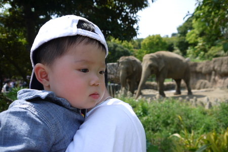 動物園04