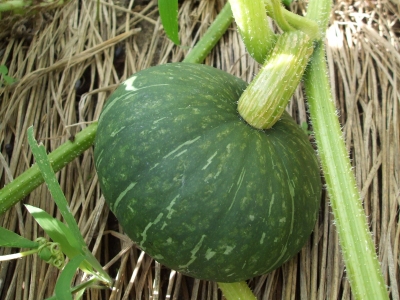 7b094356.jpg