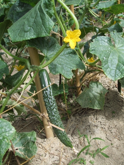 05
