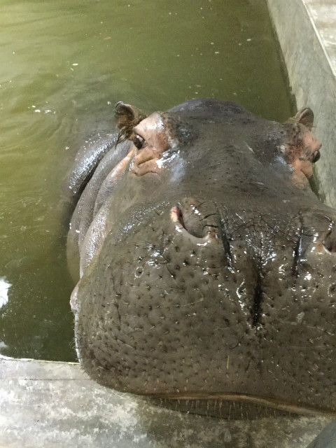 s写真②