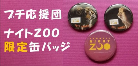 ナイトＺＯＯ