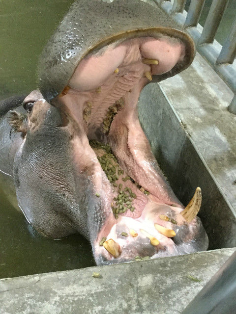 s写真④