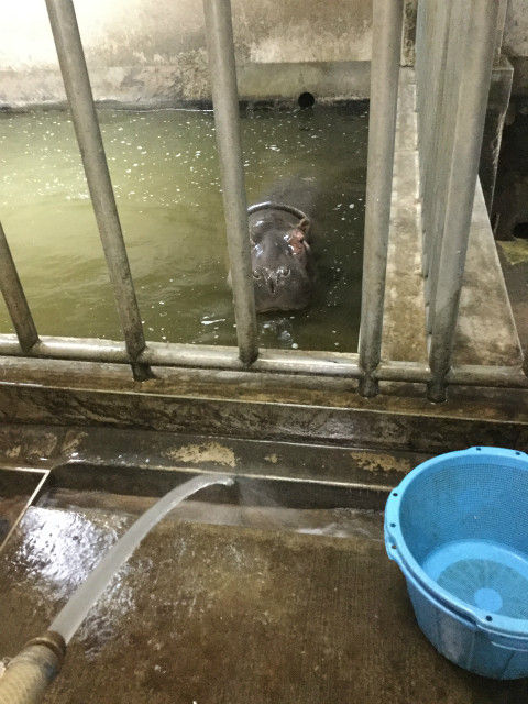 s写真③