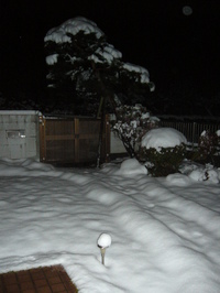 2010.3.9�����᥵��������in����