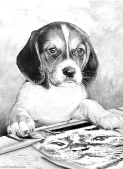 ジンジンが描いてます???