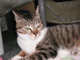 7f5673b4.JPG