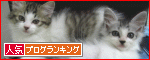 バナー赤