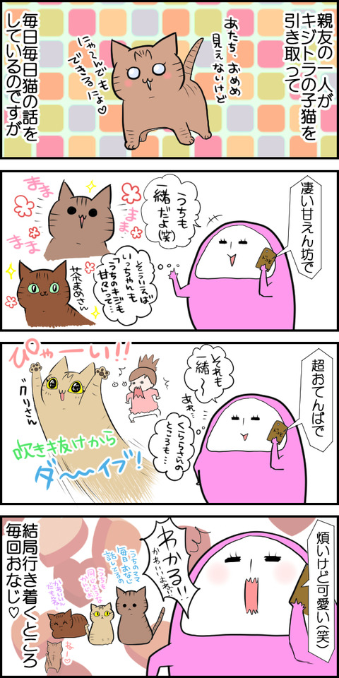 キジトラ