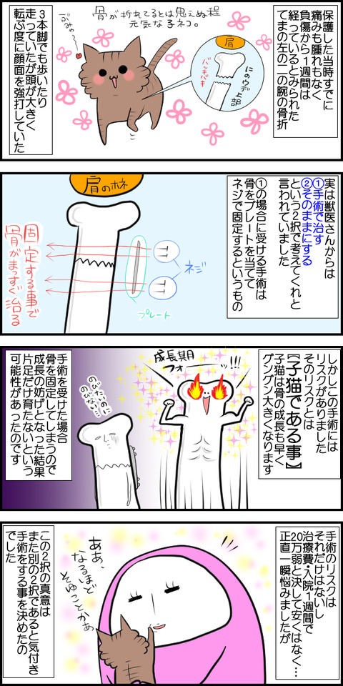 てま