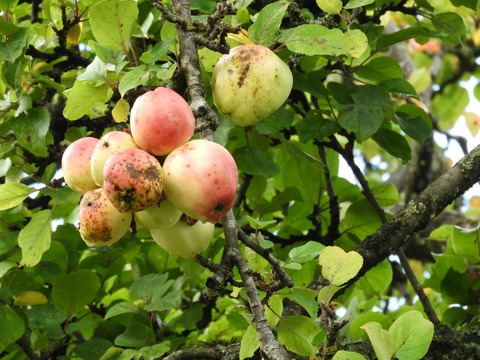 DSCN0160