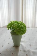 �ӥС��ʥ�