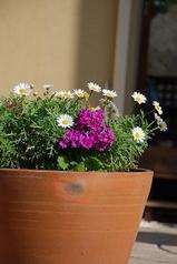 �ޡ�����åȴ󤻿���