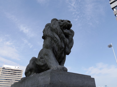 IMGP0442