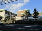 H301008 (6)