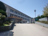 u-0406 (103)