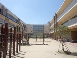 t-0828 (5)