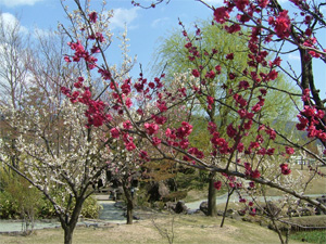 7b7cb4a8.jpg