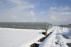 7be3b831.jpg
