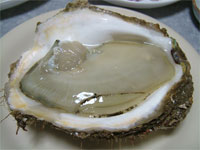 836f51a2.jpg