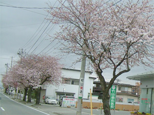 8e4744d0.jpg