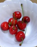 977a9b4d.jpg