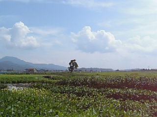 d741543f.jpg