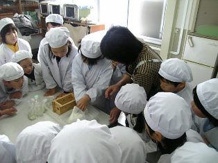 f981f87c.jpg
