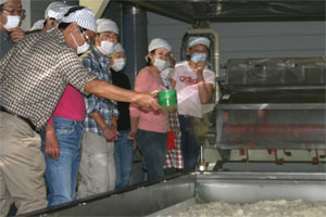 faf7483c.jpg