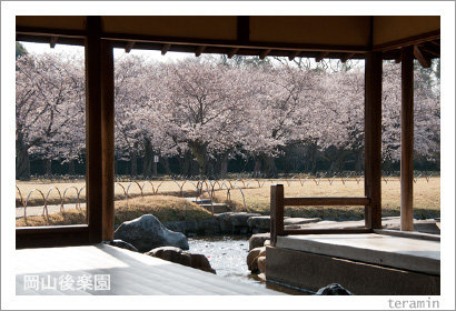 kourakuen120408_3