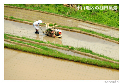 美咲町 棚田写真2