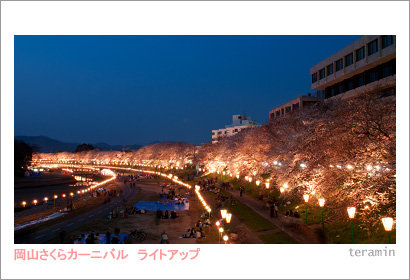 sakura120408_1