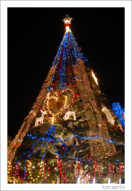 クラレのクリスマスツリー1