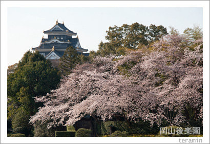 kourakuen120408_1