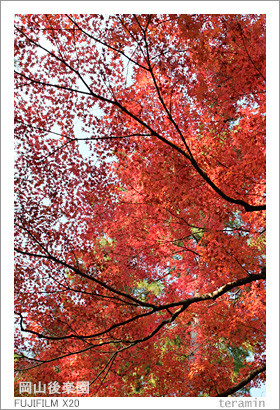 kourakuen_141122_3
