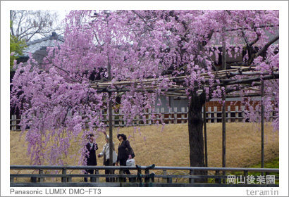 kourakuen120413_1
