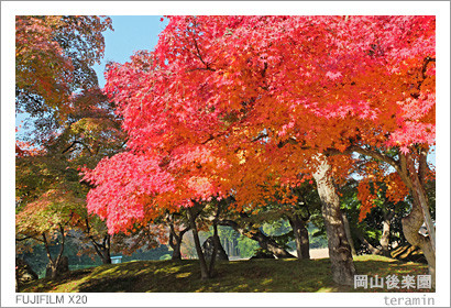 kourakuen_141122_2