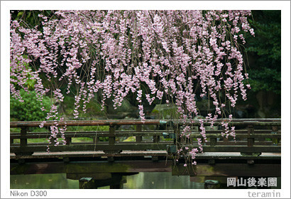 kourakuen150405_4