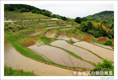 美咲町 棚田写真1