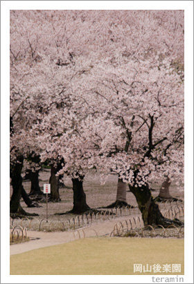 kourakuen120414_1