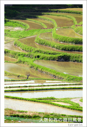 美咲町 棚田写真4