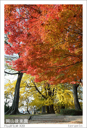 kourakuen_141122_4
