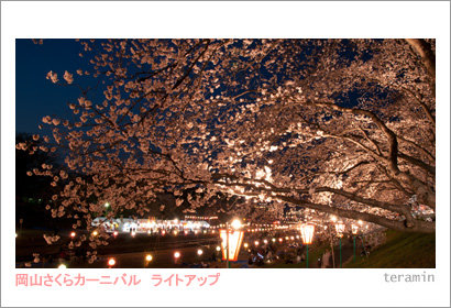 sakura120408_3