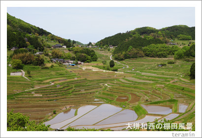 美咲町 棚田写真3