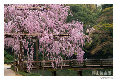 kourakuen120414_3