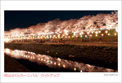 sakura120408_2