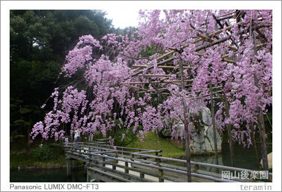 kourakuen120413_2