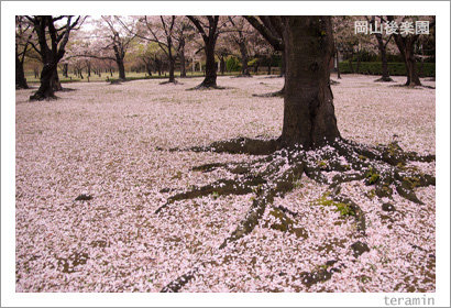 kourakuen120414_2