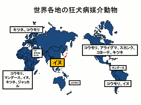 map2