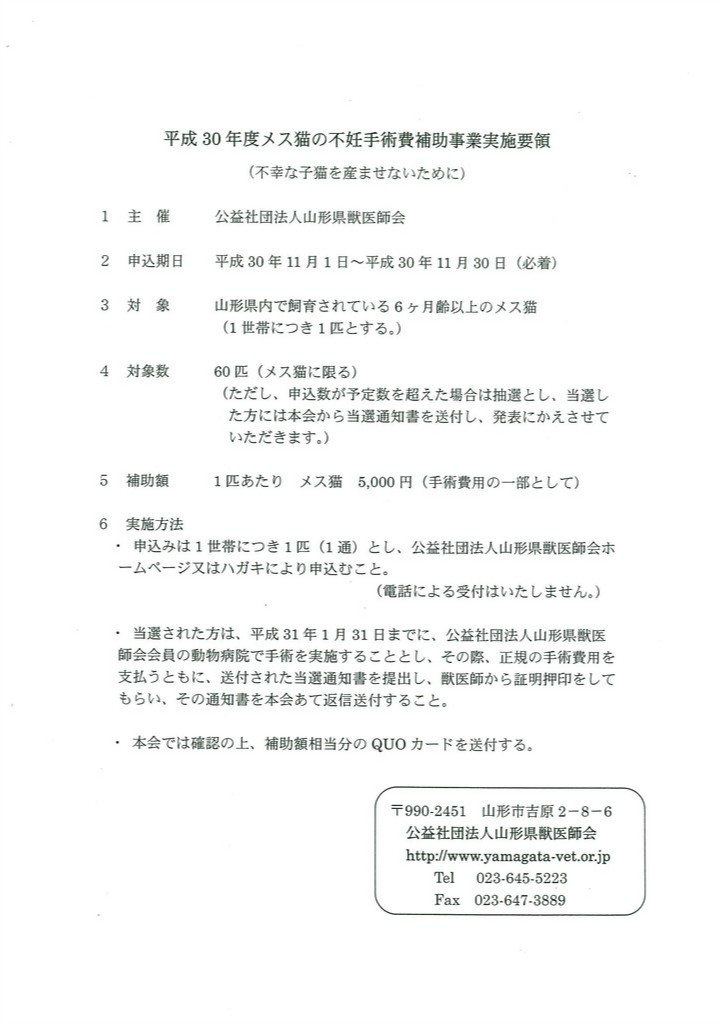 BlogPaint