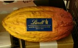 Cacao